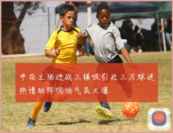 申花主场迎战三镇吸引近三万球迷热情助阵现场气氛火爆
